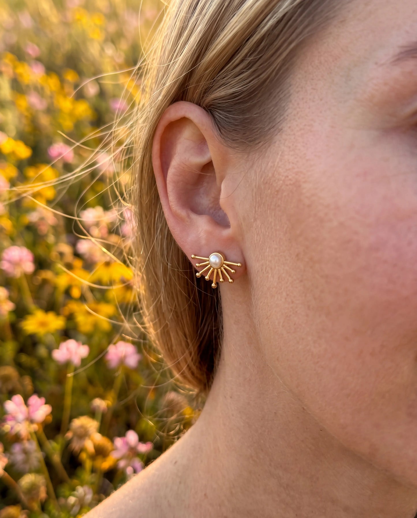 ARETE SOLECITO