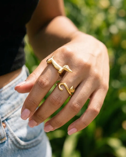 ANILLO PERRO Y GATO