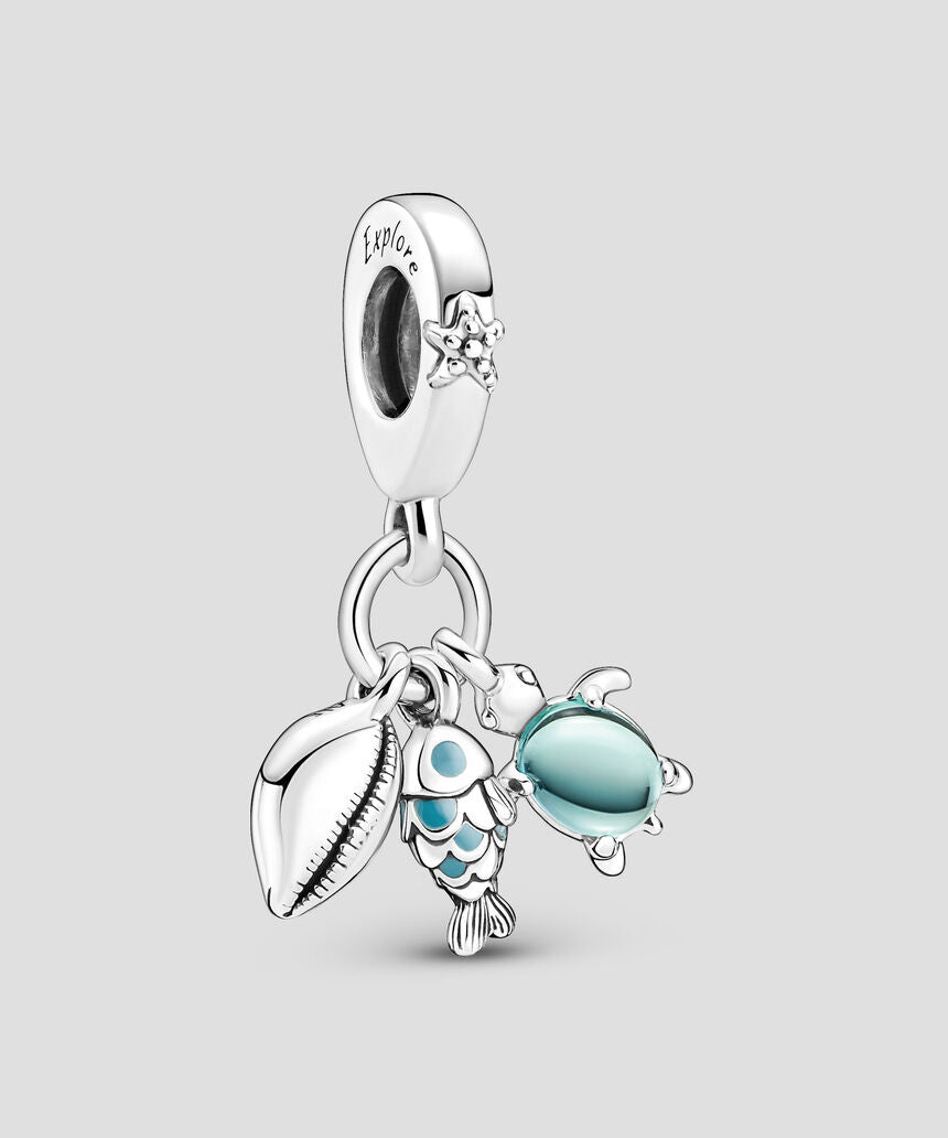 CHARM PEZ Y TORTUGA